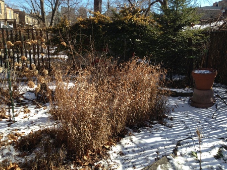 Winter Gardening Pissarro